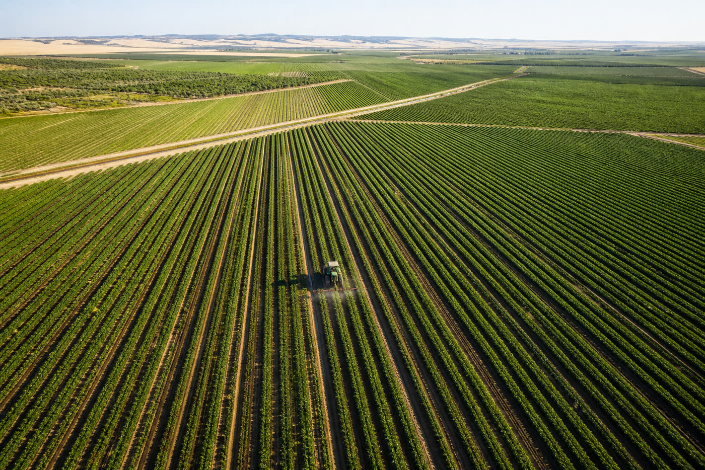 Campos agrícolas vistos desde el aire